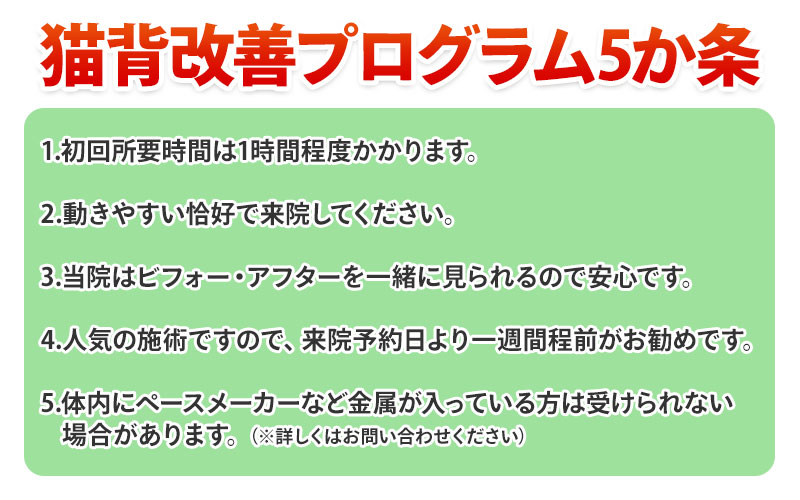 猫背改善プログラム5か条