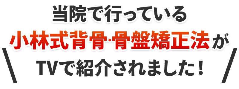 テレビで紹介されました！